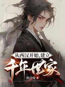 从西汉建立到南宋经历了几个世纪