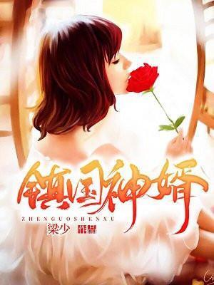 镇国神婿动漫第二季