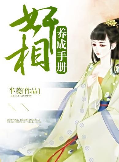 丞相养成手册
