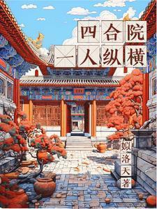四合院一人纵横_