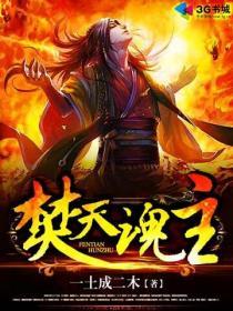 焚天武魂全文免费阅读