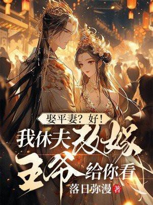 娶平妻好我休夫改嫁王爷给你看短剧