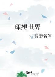 理想世界模型