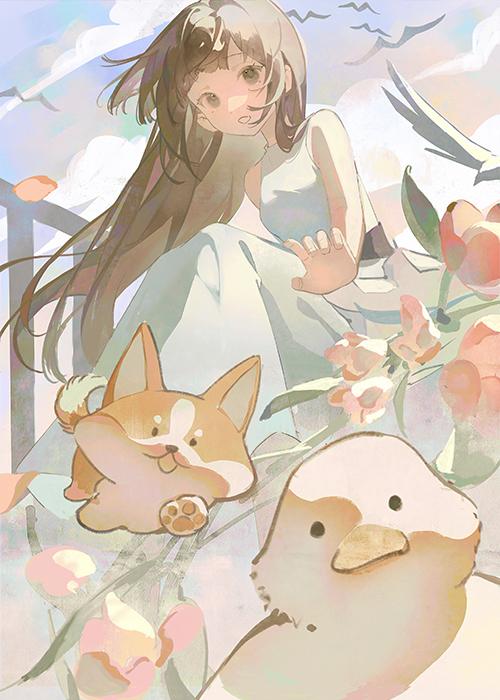 小鸭子游泳扩句一年级下册