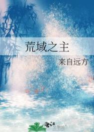 荒域之主攻最后和谁在一起了