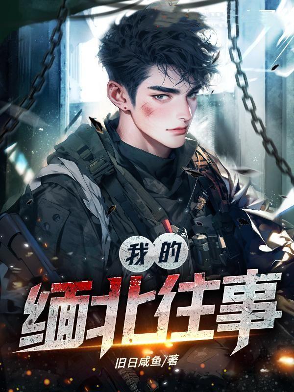 我的缅北往事 TXT