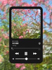 秋日遐想什么意思