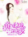 天价宝贝帝少宠妻入骨免费