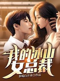我的冰山女总裁沈浪