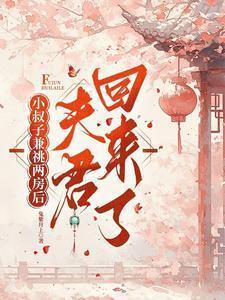 夫君回来了结局