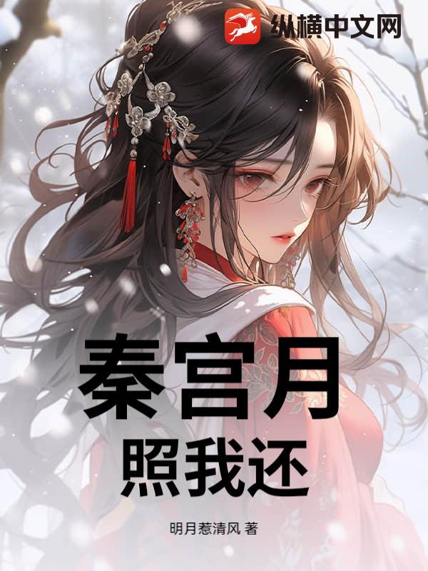 秦宫月,照我还
