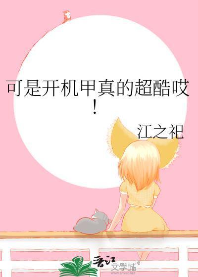 可是开机甲真的超酷哎!