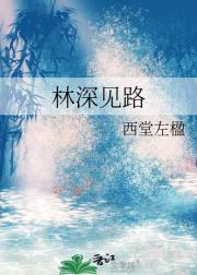 林深见路