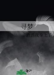寻梦