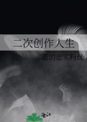 二次创作人生