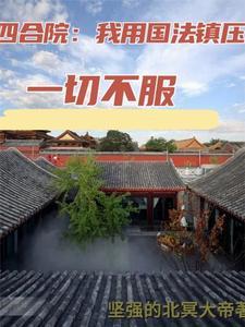 四合院:我用国法镇压一切不服
